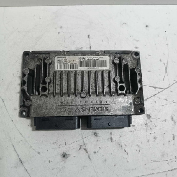 Modulo Automotivo Cambio Automatico Citroen C4 C5 S126024101