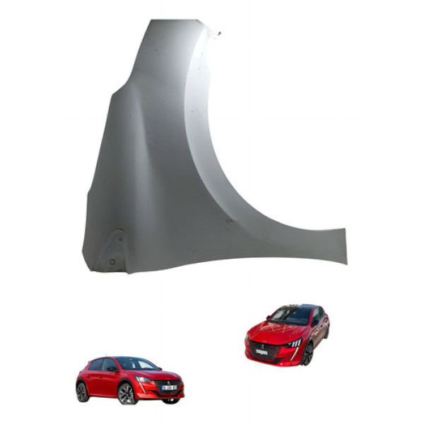 Paralama Peugeot 208 2013 Á 2017 1.3 Usado