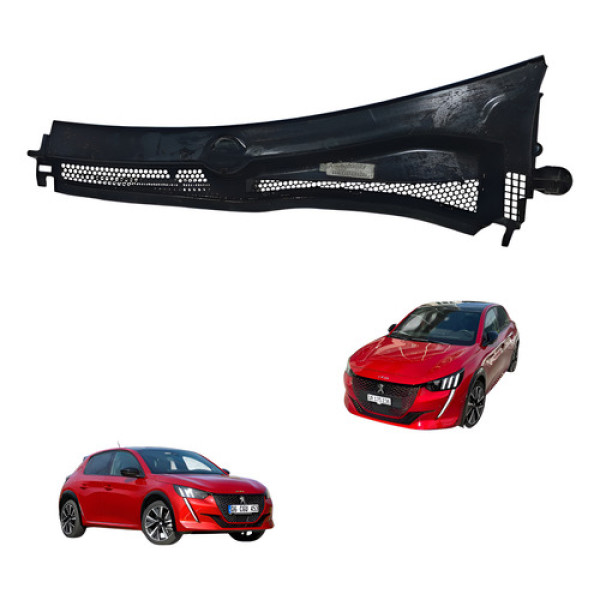 Grade Churrasqueira Direita Peugeot 208 2013 2018 1.3 Usado Preto